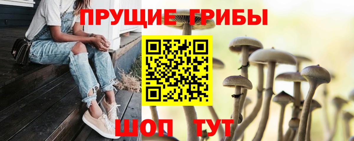 Псилоцибиновые грибы Cubensis Гагарин