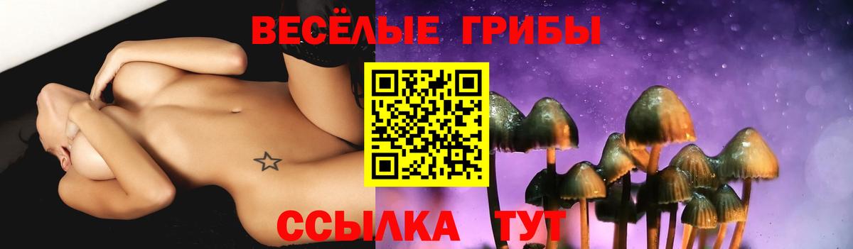 Галлюциногенные грибы Psilocybe  Псилоцибиновые грибы Psilocybine cubensis  Гагарин  Вход с VPN 